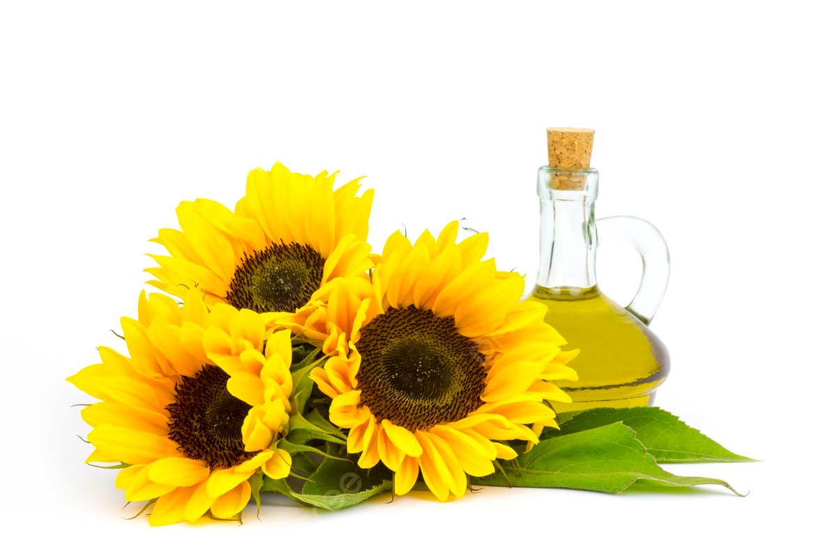 Sunflower Oil